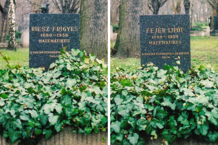 Graeber von F. Riesz und L. Fejer /
Graves of F. Riesz and L. Fejer