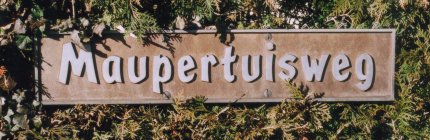 Strassenschild /
street-sign