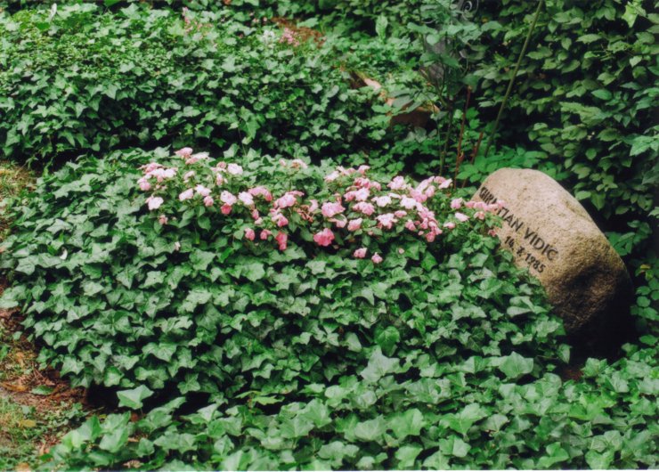 Grab von C. Vidic /
Grave of C. Vidic